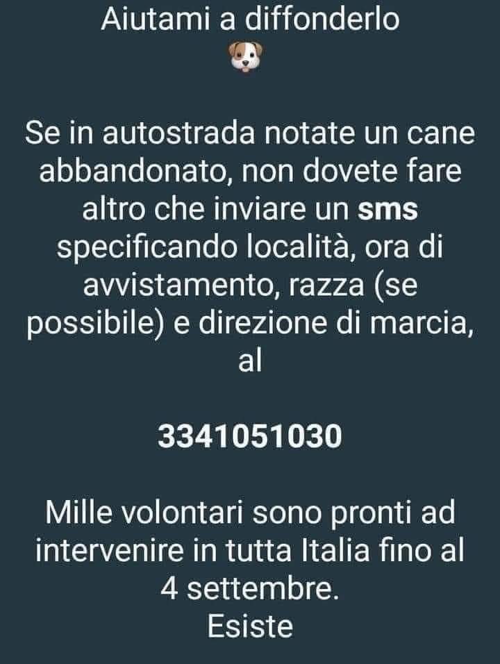 ludovica (@nebbianelsole) on Twitter photo 