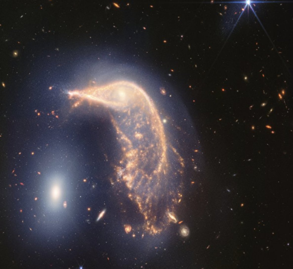 martinmbauer's tweet photo. Penguin in astronomy vs penguin in particle physics https://t.co/kClv0hN5Sm