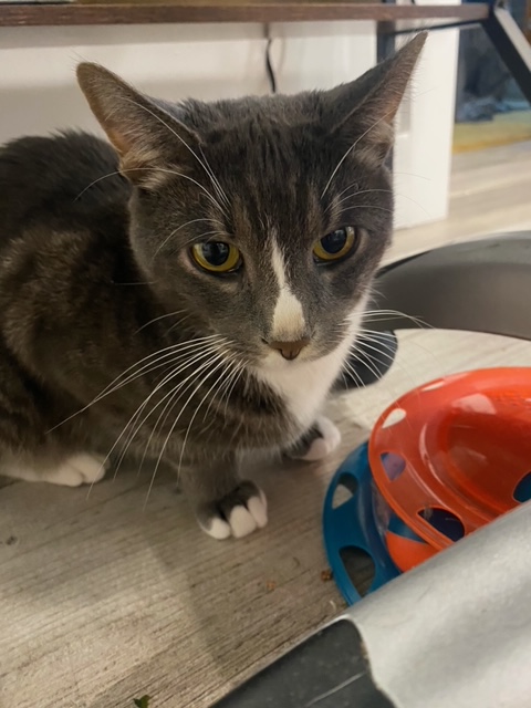 Dan Avery tweet media