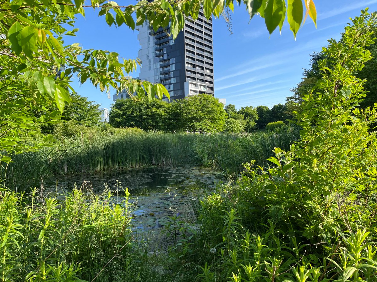 Corktown Common tweet media