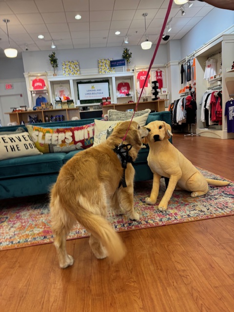 bwarnex2's tweet photo. Zooey doing some shopping today! https://t.co/DReDfFEy4f