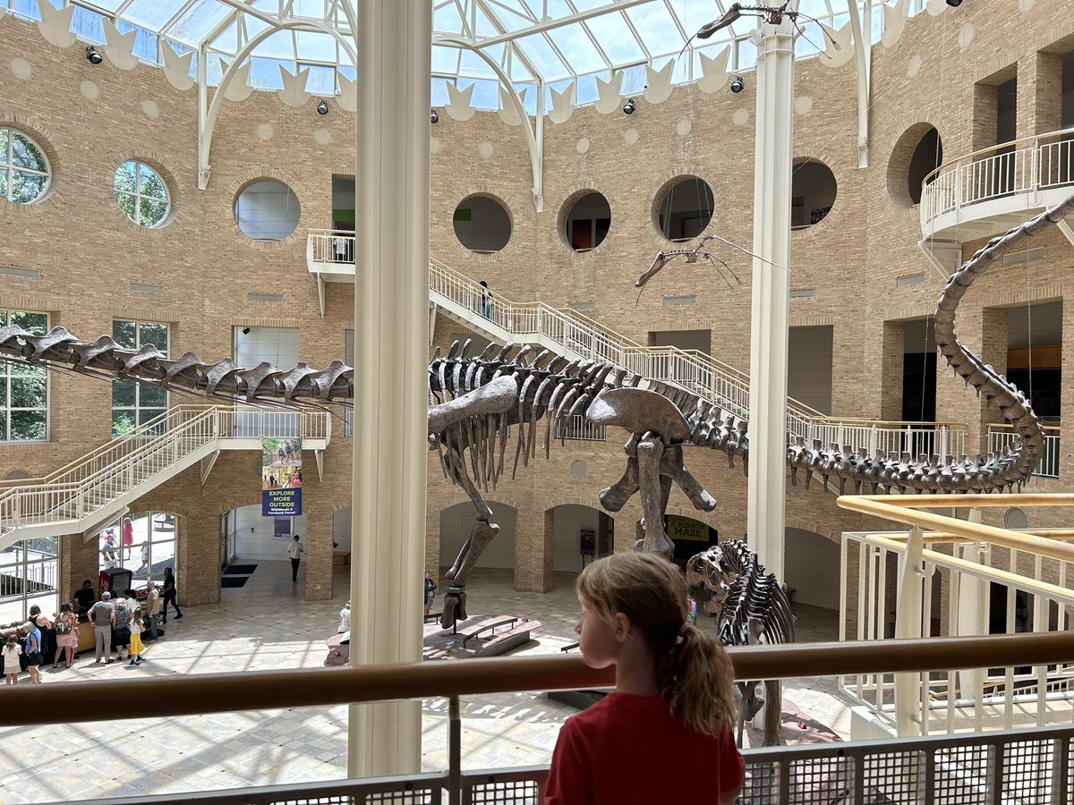 ajswriter2's tweet photo. Fun at @FernbankMuseum this week. We loved it all, and the mirror maze exhibit was especially cool! #ThingsToDoATL #Atlanta @thingstodoatl https://t.co/d3rtBY3BlA