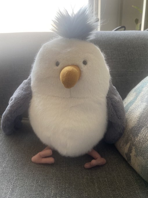 I am very fiscally responsible and can be trusted with money. That is why I now have Rocky. He is a seagull