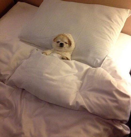 widowsbxrnes's tweet photo. me: “I can’t wait to party all summer”
me all summer: https://t.co/0RyvMULayR