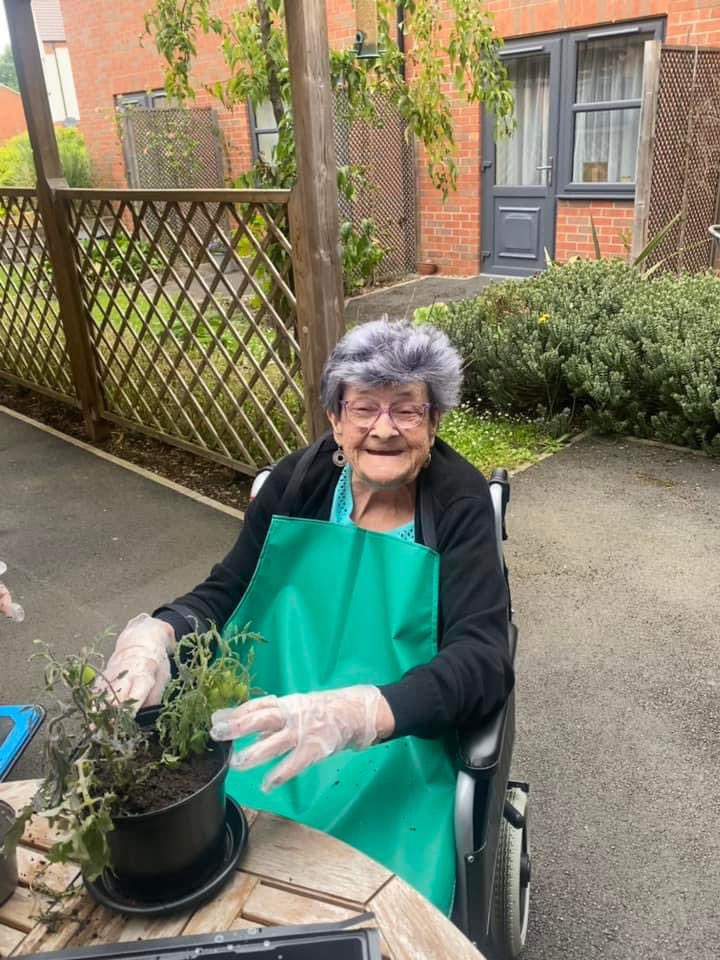 Nelson_Lodge's tweet photo. Thank you to our lovely Ann who repotted our tomato and chilli pepper plants today, that we were so kindly gifted 🍅 🌶️
We also checked how tall the sunflowers were 🌻 https://t.co/Rh4ZuRZhMX