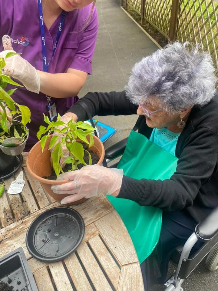Nelson_Lodge's tweet photo. Thank you to our lovely Ann who repotted our tomato and chilli pepper plants today, that we were so kindly gifted 🍅 🌶️
We also checked how tall the sunflowers were 🌻 https://t.co/Rh4ZuRZhMX