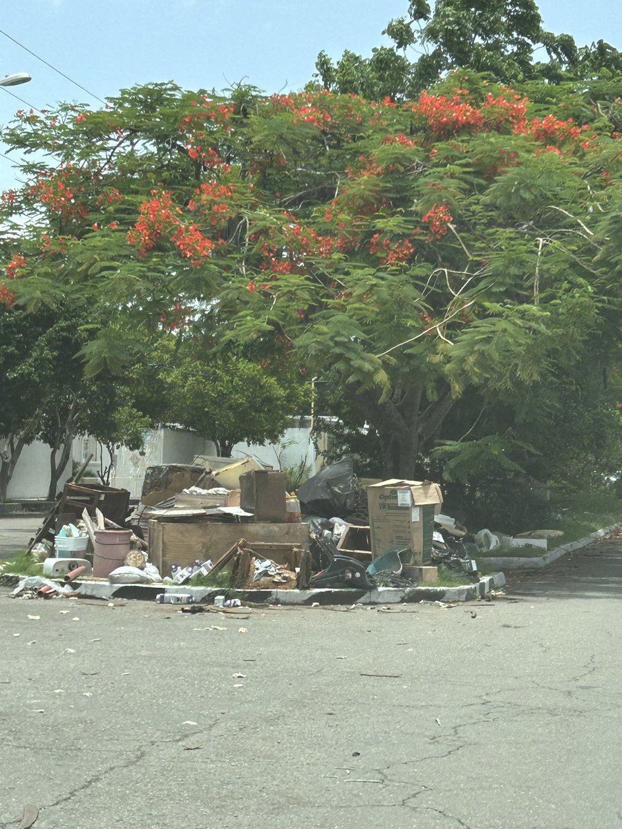 alexcondes's tweet photo. @AyuntaMerida @SSYucatan  la avenida de cordemex tiene mucha basura que no han retirado por la campaña de descacharrizacion de junio https://t.co/muAPf26Qz0