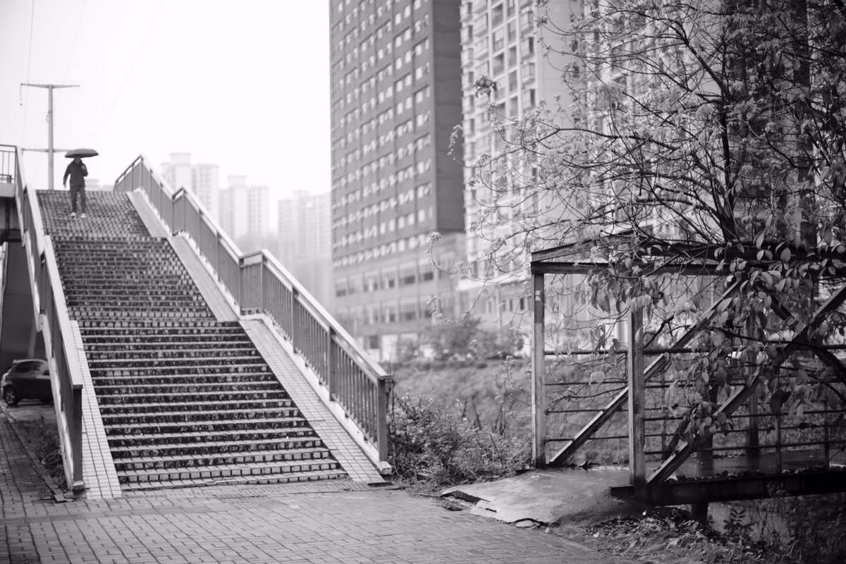 MarginalPerson_'s tweet photo. 1971 Canon FD 50 1.4 https://t.co/4ORvmdKnCf