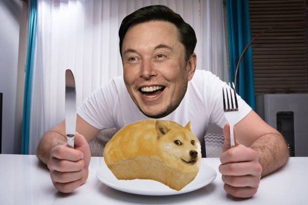 pumpfunchad's tweet photo. @cb_doge The hardest thing in the world you should eat #Dogebread $BREAD @DOGEBREADSOL https://t.co/apFybFLCHh