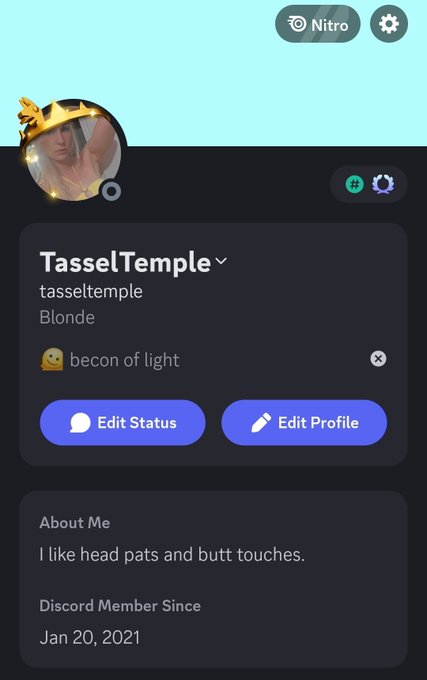 Hi I'm Addison,  my pronouns are platinum/blonde. Teheheh 😸 https://t.co/1AXnLQ4Eow