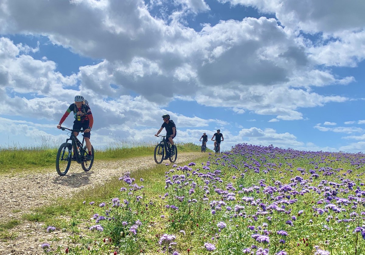 It’s not too late to arrange a corporate #MountainBiking experience with your colleagues and clients for summer 2024 – but you might have to be quick, especially if you’d like us to customise your day with hospitality options.
marmalademtb.com/corporate/