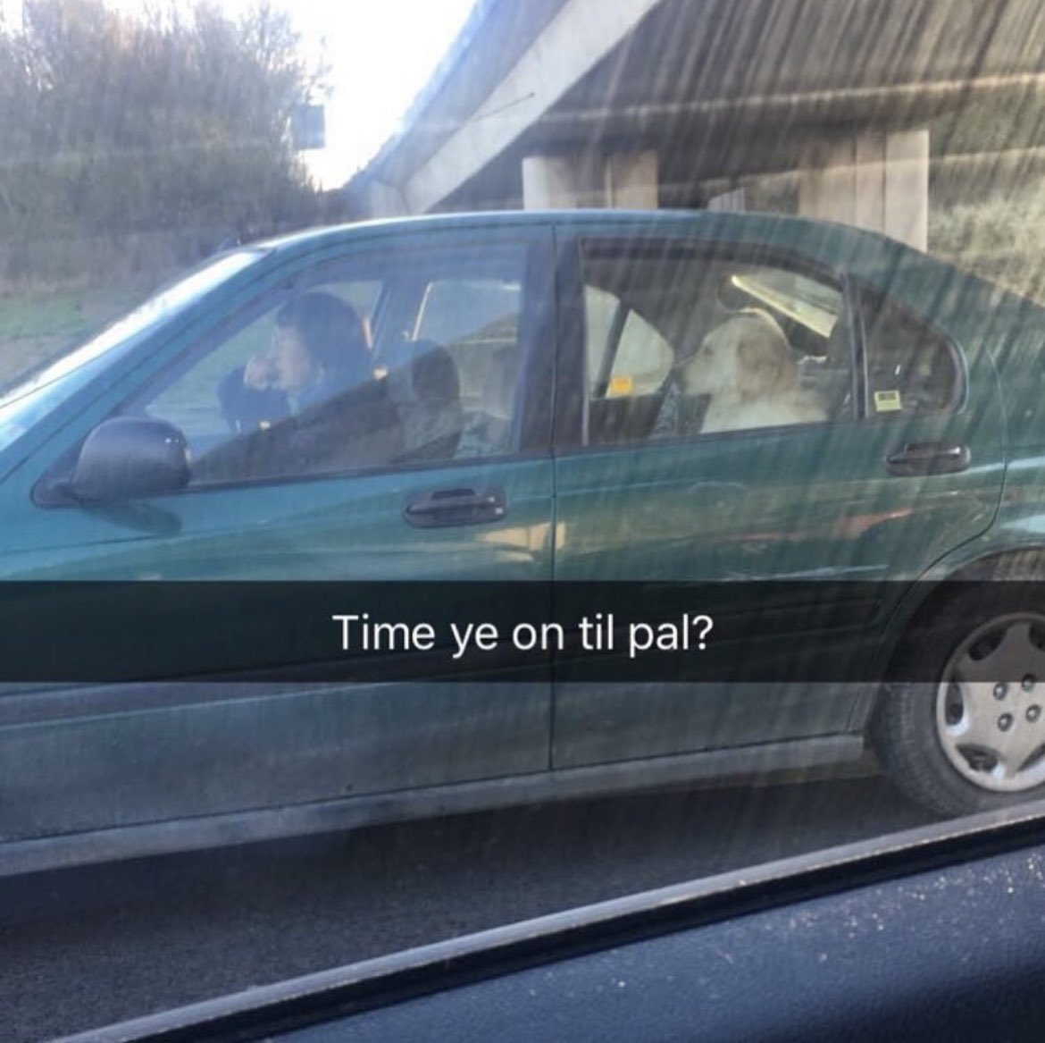Decent Patter (@decentpatter) on Twitter photo 