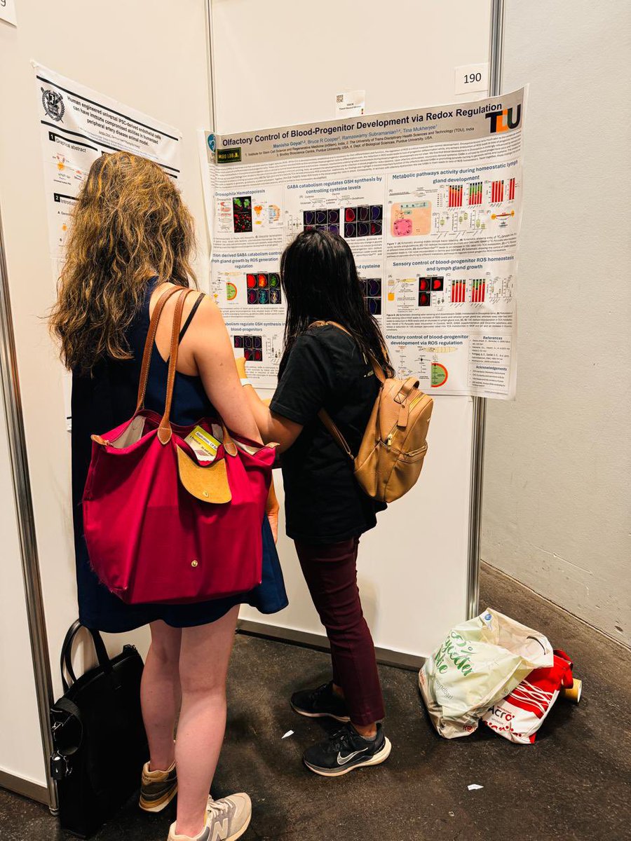 Metabolism and Development Lab tweet media