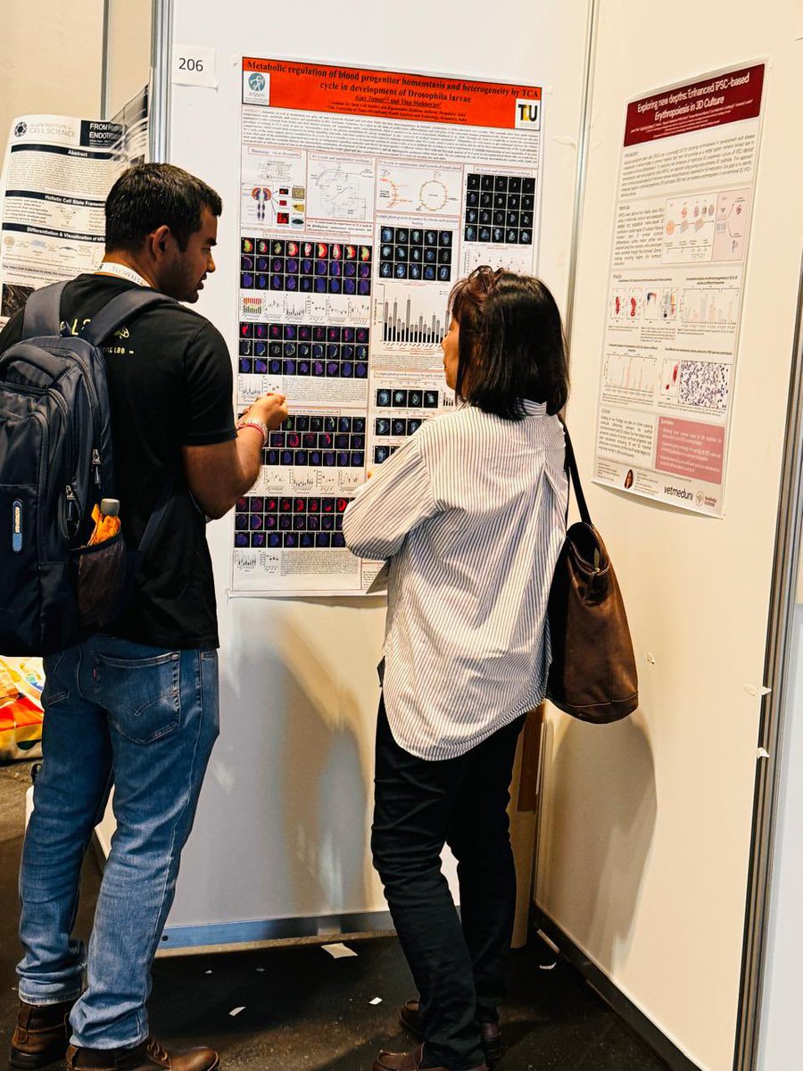 Metabolism and Development Lab tweet media