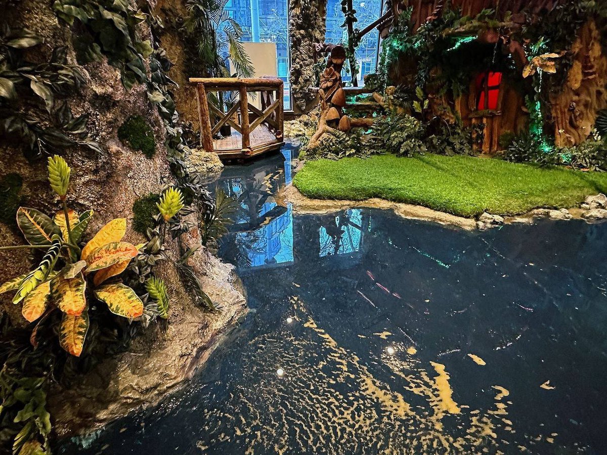 Believe you can and you’re halfway there.