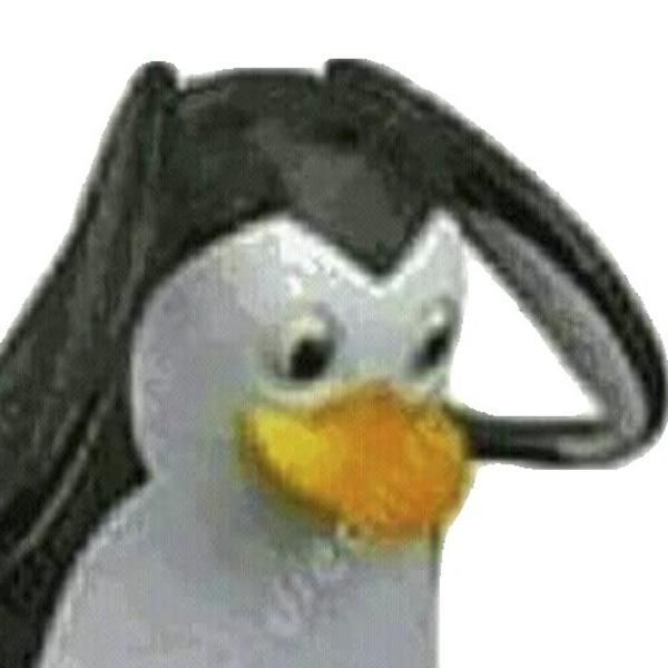 Gerrard Bowek tweet media