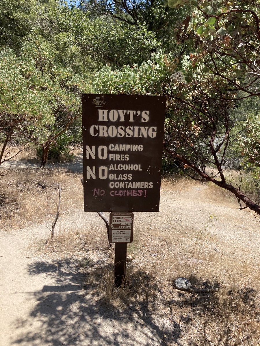 millenial bulge noticer tweet media