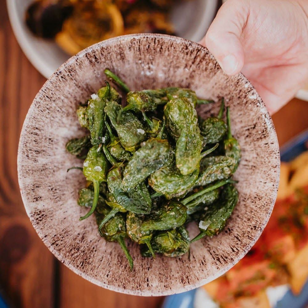 Did you know that the spiciness of a Padron Pepper depends on the age of the plant. 
The older the plant is the more likely it is to produce spicy peppers. 

Padron pepper fruits are also hotter at the end of the season, in September–October. 

🫑 🌶️ 🫑 🌶️ 🫑 🌶️