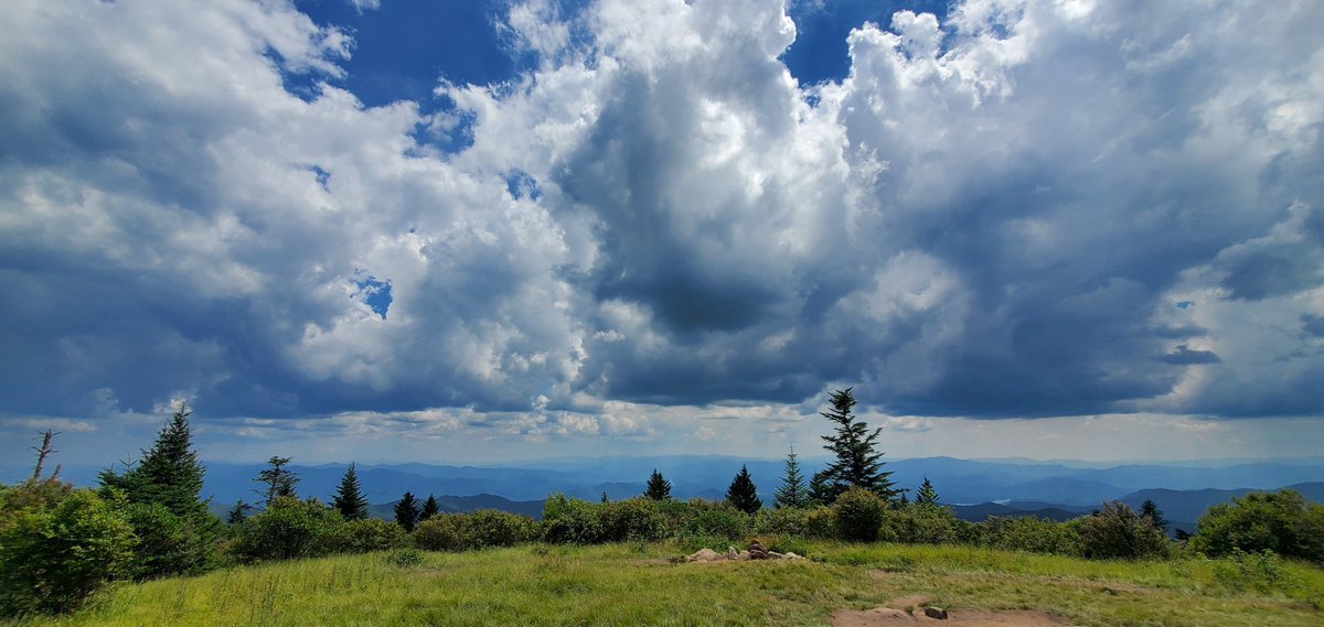 DSeymoursLife's tweet photo. Andrews Bald #smokies #hiking #bootyburn https://t.co/Bz93yrcvTF