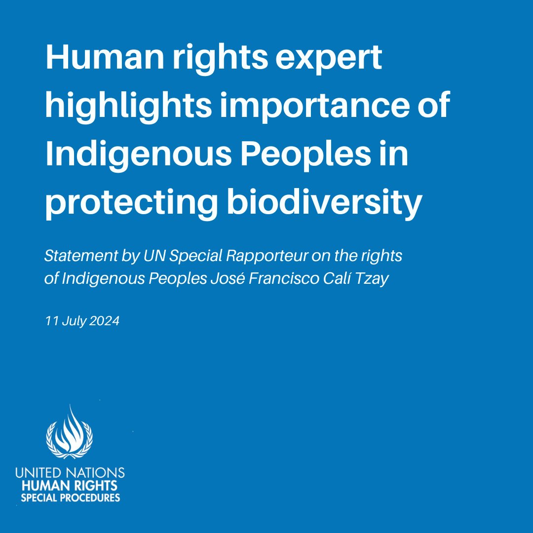 UN Environment Programme (@unep) on Twitter photo "The lands traditionally owned or occupied by Indigenous Peoples are vital for the protection of biodiversity contributing to climate balance due to the harmonious and spiritual relationship that they maintain with nature."
<a href="/UN_SPExperts/">UN Special Procedures</a> statement: ohchr.org/en/press-relea… "The lands traditionally owned or occupied by Indigenous Peoples are vital for the protection of biodiversity contributing to climate balance due to the harmonious and spiritual relationship that they maintain with nature."
<a href="/UN_SPExperts/">UN Special Procedures</a> statement: ohchr.org/en/press-relea…