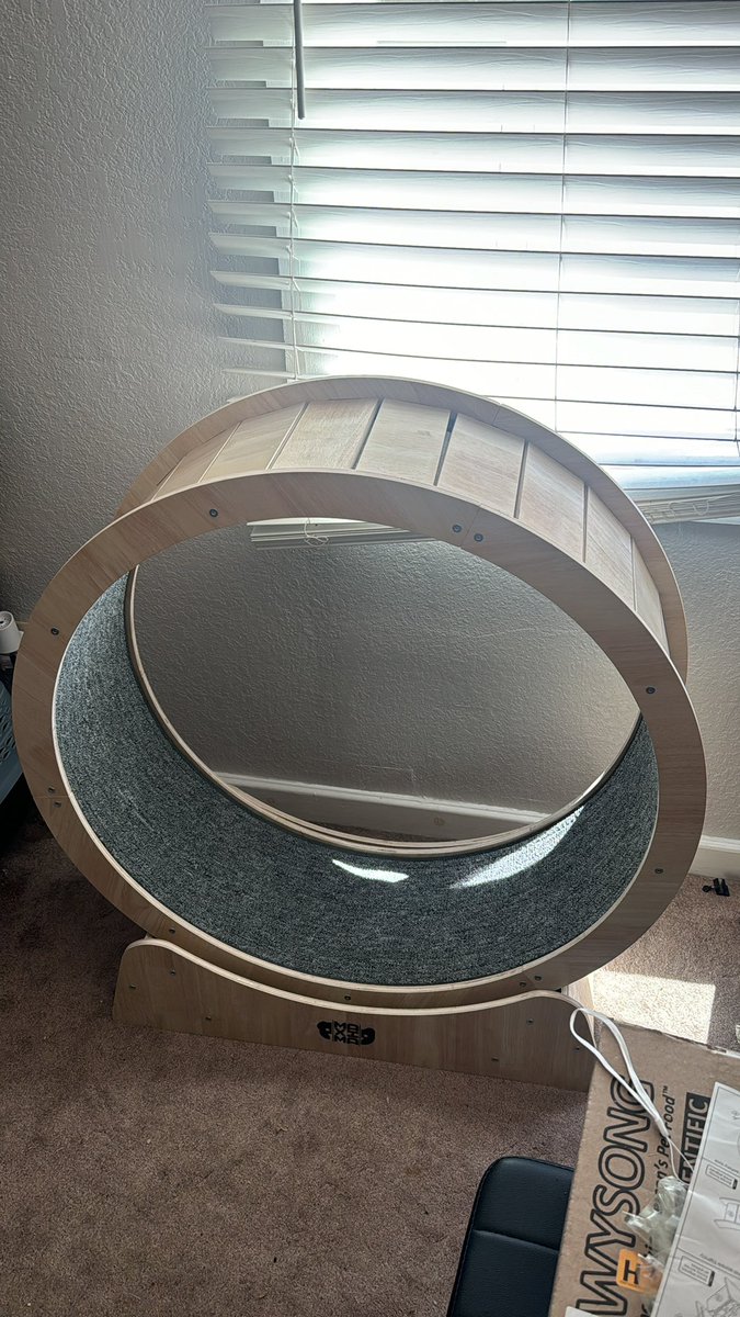 We will see if I can get the cats to use this