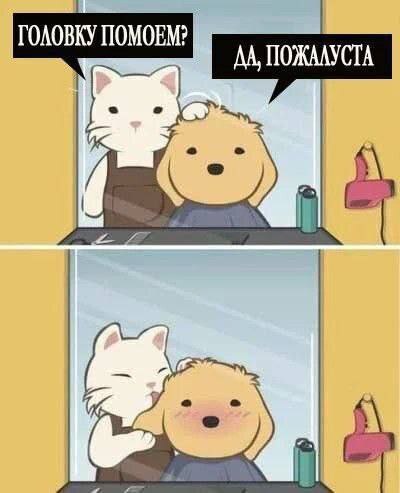 Nickro (@nickro666) on Twitter photo 