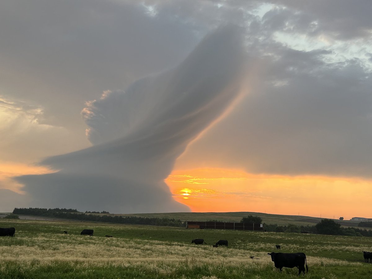 Hard for me to believe someone else ain’t in charge of this ole world. 
  Just wish he’d turn down the heat a little 🥴