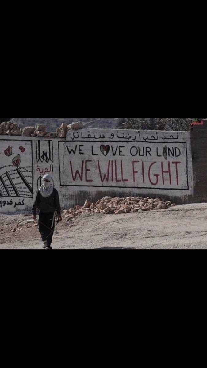 🇩🇿 tweet media