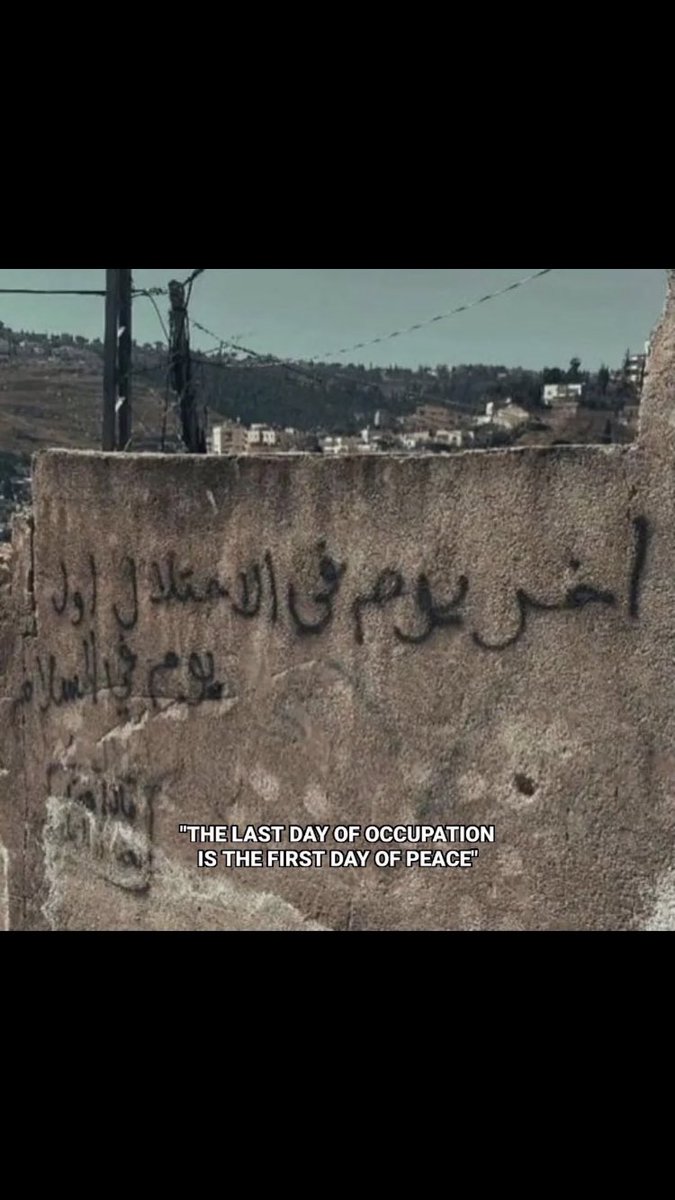 🇩🇿 tweet media