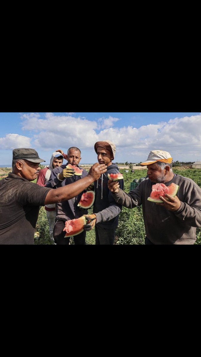 🇩🇿 tweet media