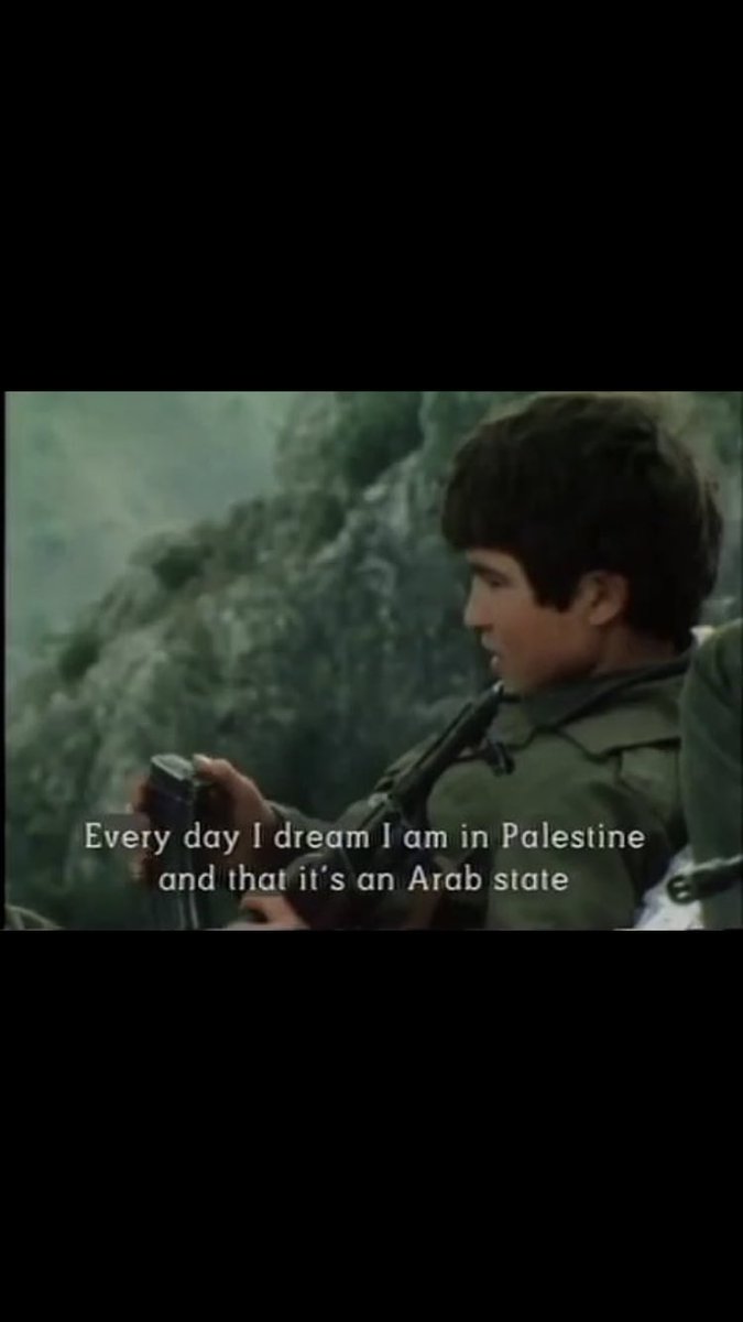 🇩🇿 tweet media