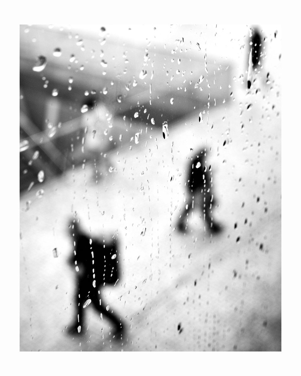 Ricardo Salvo tweet media