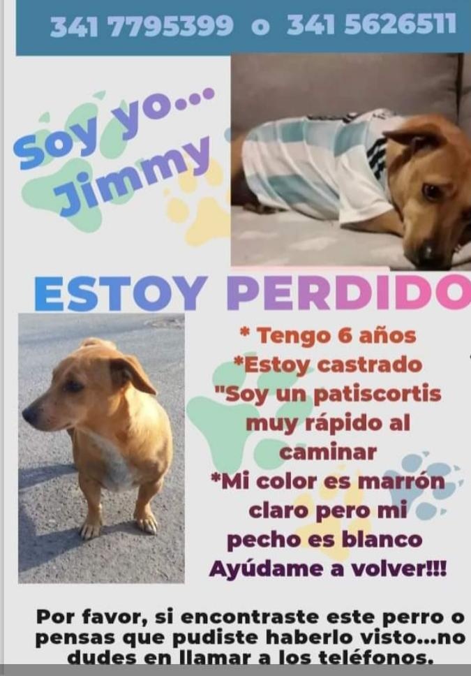 Rosariociudadok's tweet photo. Ayuda Twitter,  buscan a JIMMY si lo viste o tenes info contactate.
Gracias por compartir 💪 https://t.co/6bLD9YJy7b