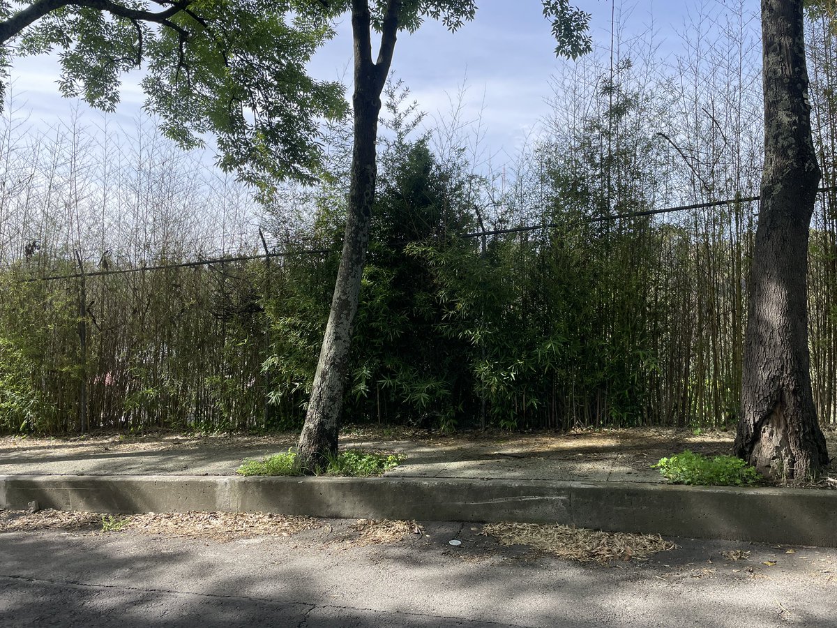 Fuga en 3a sección de Chapultepec @SacmexCDMX 
maps.app.goo.gl/cx7WurjF4AxTRU…