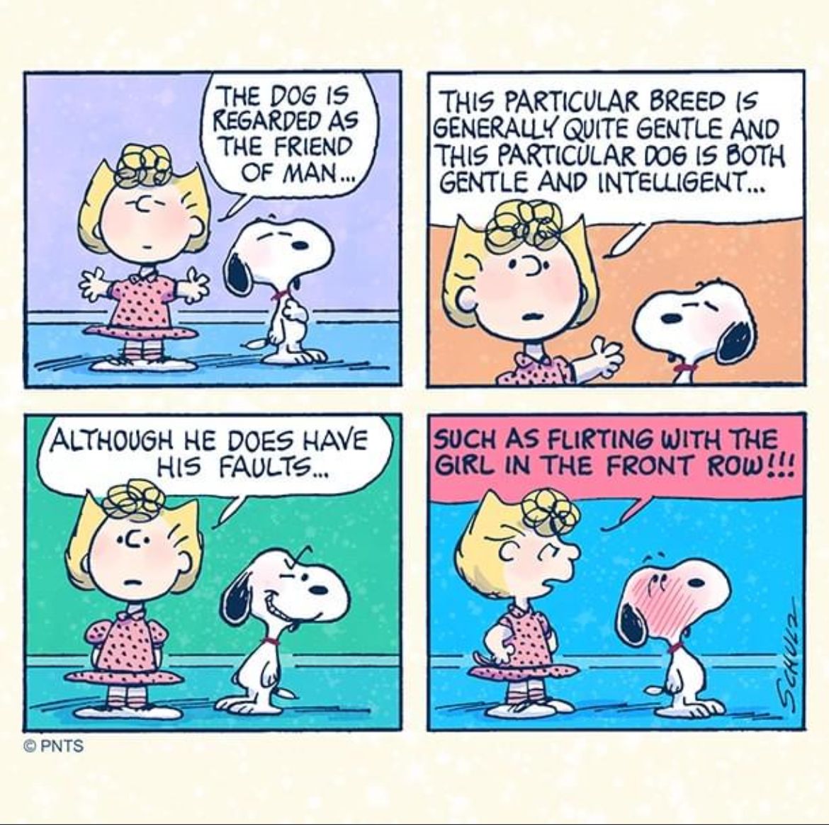 Charlie Brown Fan Account tweet media