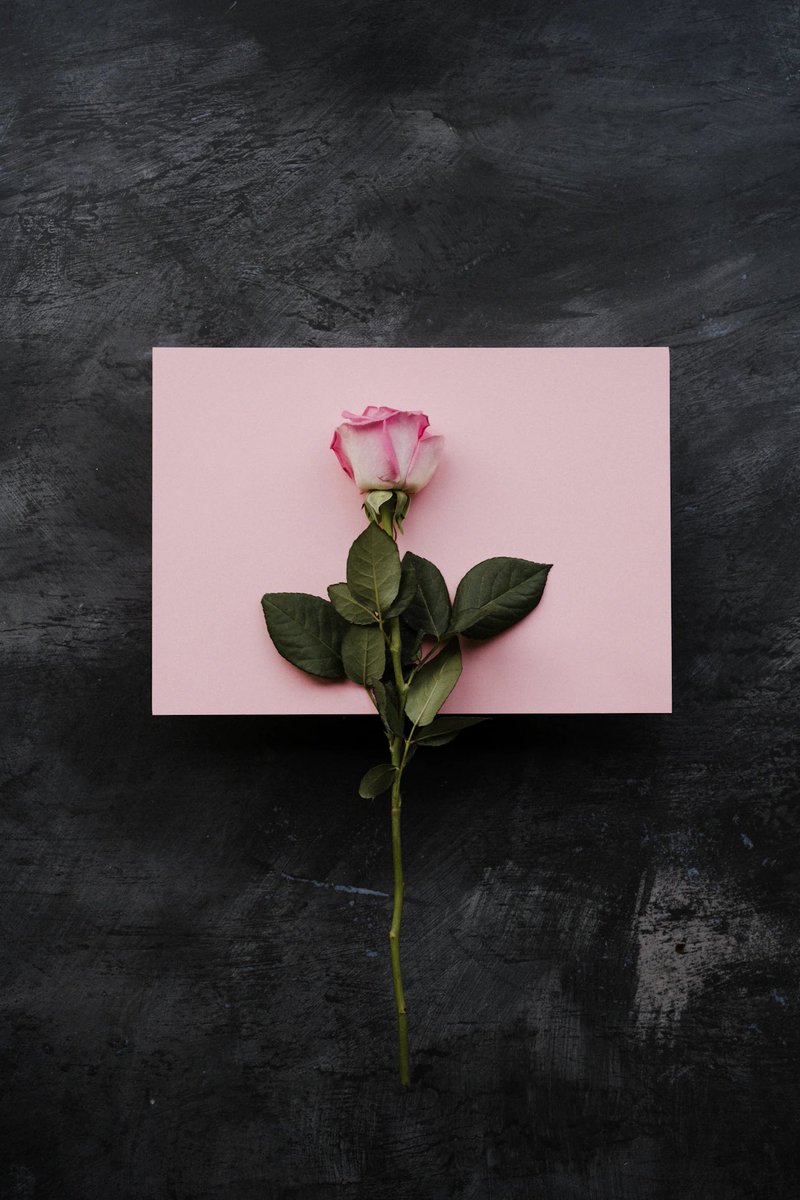 vijvipul's tweet photo. A love note for my soul
it makes me feel whole,
#atoning all my sins
showing me new goals;
Answering all my calls
#enlivening me, if I stall,
summoning #connate feeling
of love, if l fall.
#vss365
๐ธ Annie Spratt at unsplash https://t.co/6MrPA6GOwq