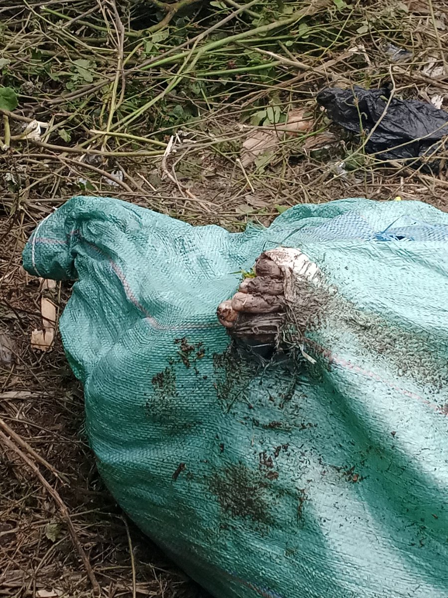mukuru_cjc's tweet photo. Fresh body parts witnessed during the retrieving process. This is horrible. 

#MukuruDarkestHour https://t.co/9oDzPEdU5X