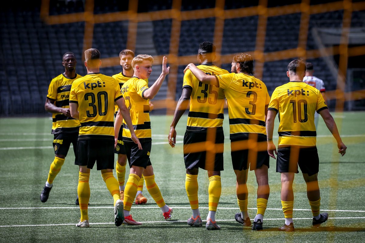 BSC YOUNG BOYS tweet media