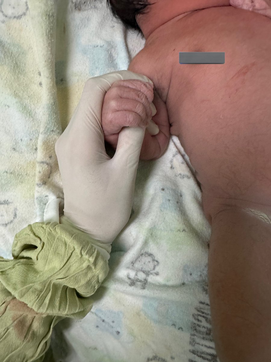 ilcis🧸 tweet media