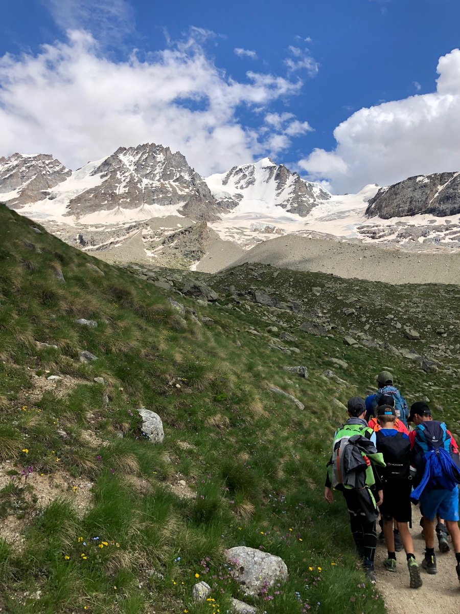 Giroparchi's tweet photo. #GiroparchiNatureTrail Day 4.
After seeing the 🚁 helicopter bringing supplies to the refuge, we started our day walking towards Rifugio Chabod and then got back to the camping. 

Today’s theme was 🐰 "life on Earth": we took the chance to speak about our local flora and fauna. https://t.co/dA6gSI91Wg