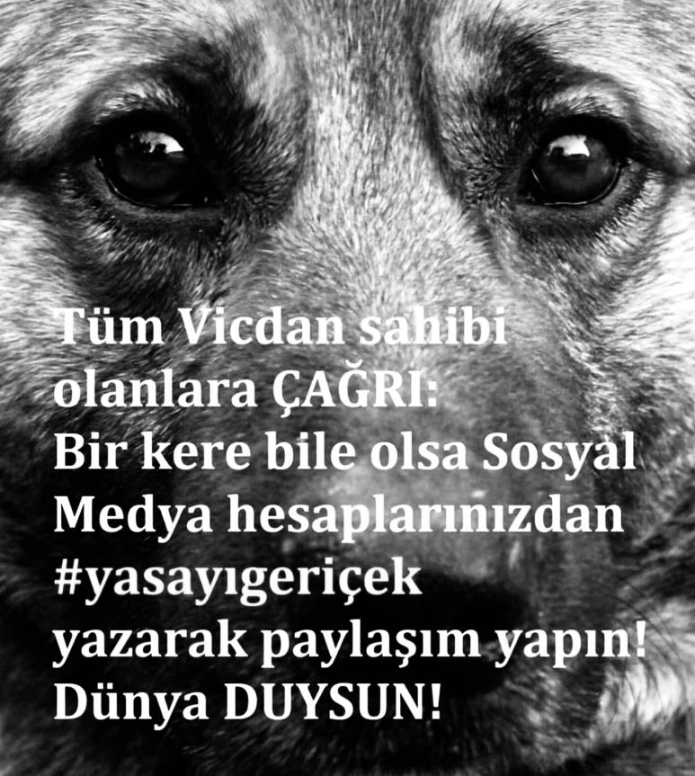 senol_er's tweet photo. #YasayiGeriCek #YasayiGeriÇek #YasayıGeriCek https://t.co/tS4eSqHVpi