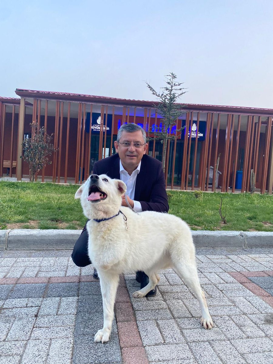 Özgür Özel:

"Yasa teklifi ile ilk uyutulacaklar Mira gibi engelli canlar olacak.
Geçen sene barınakta tanıştığım Mira sahiplenildi ve üç bacağıyla sağlıkla yaşıyor.

Sahipsiz dostlarımızın sorunları ve onların sokaklardaki varlığından duyulan endişeler yalnızca bilimsel, etik ve