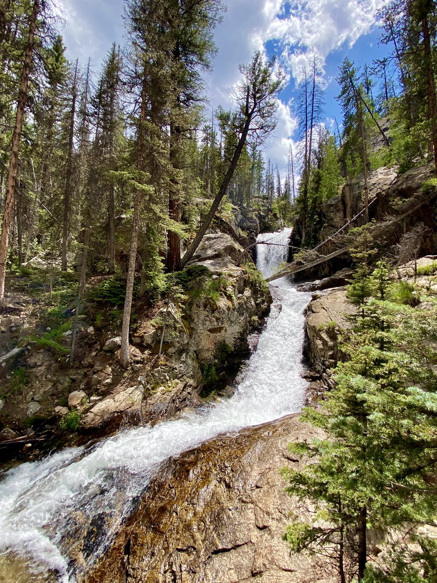 DianeJReed's tweet photo. Browns Creek Falls—six-mile round trip hike through Heaven ⛰️☀️🌸 #Colorado #RockyMountains #Hiking #Nathrop #Salida #Wildflowers #MtAntero #Fourteener #Heaven https://t.co/m3Aj8eFENC