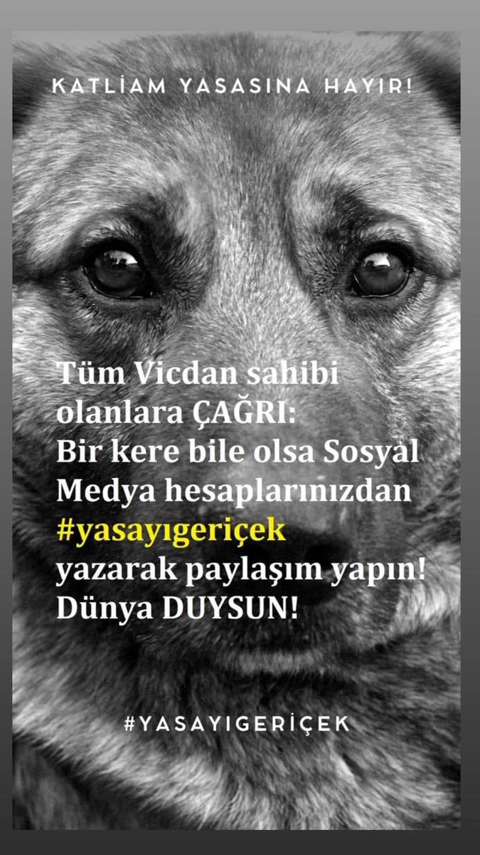 #YasayiGeriCek #YasayiGeriÇek #YasalarÖldürmezYaşatır