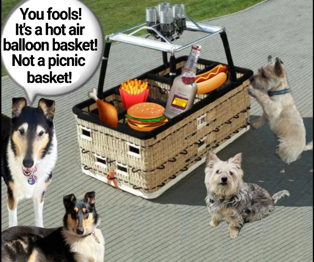 Norman_Dillon1's tweet photo. But it really looks like a picnic basket Miss Twiggy...... oh well, We'll just have to eat everything before we set off!!!
#zzst #BovverBoys @jennystape @CollieTwiggy #HotAirBalloon #EasyMistakeToMake https://t.co/MTKkRkf9vr