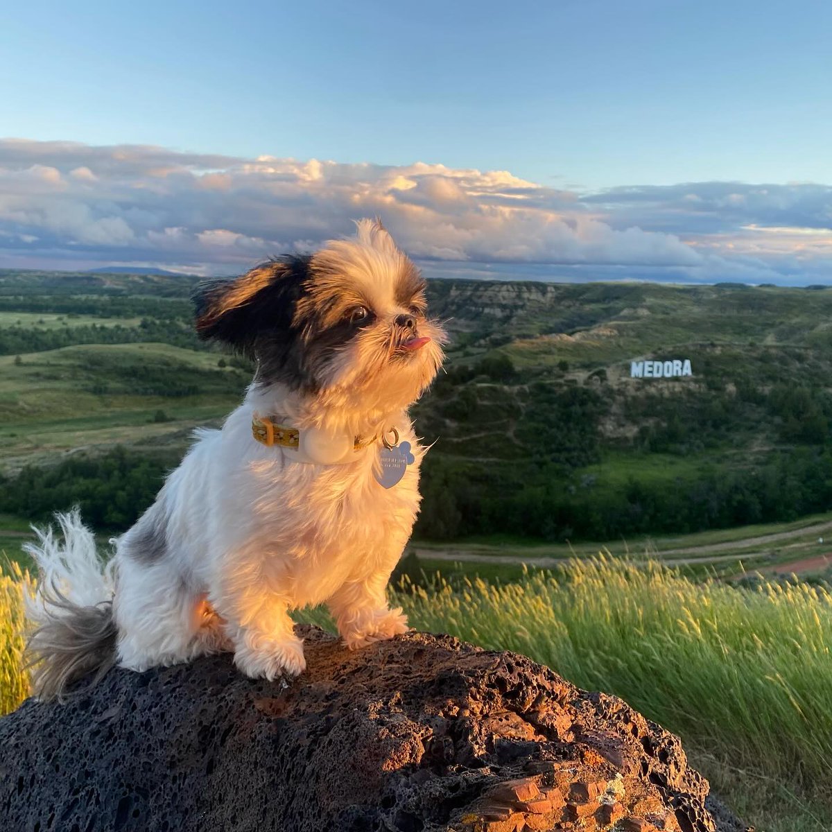 North Dakota Tourism tweet media