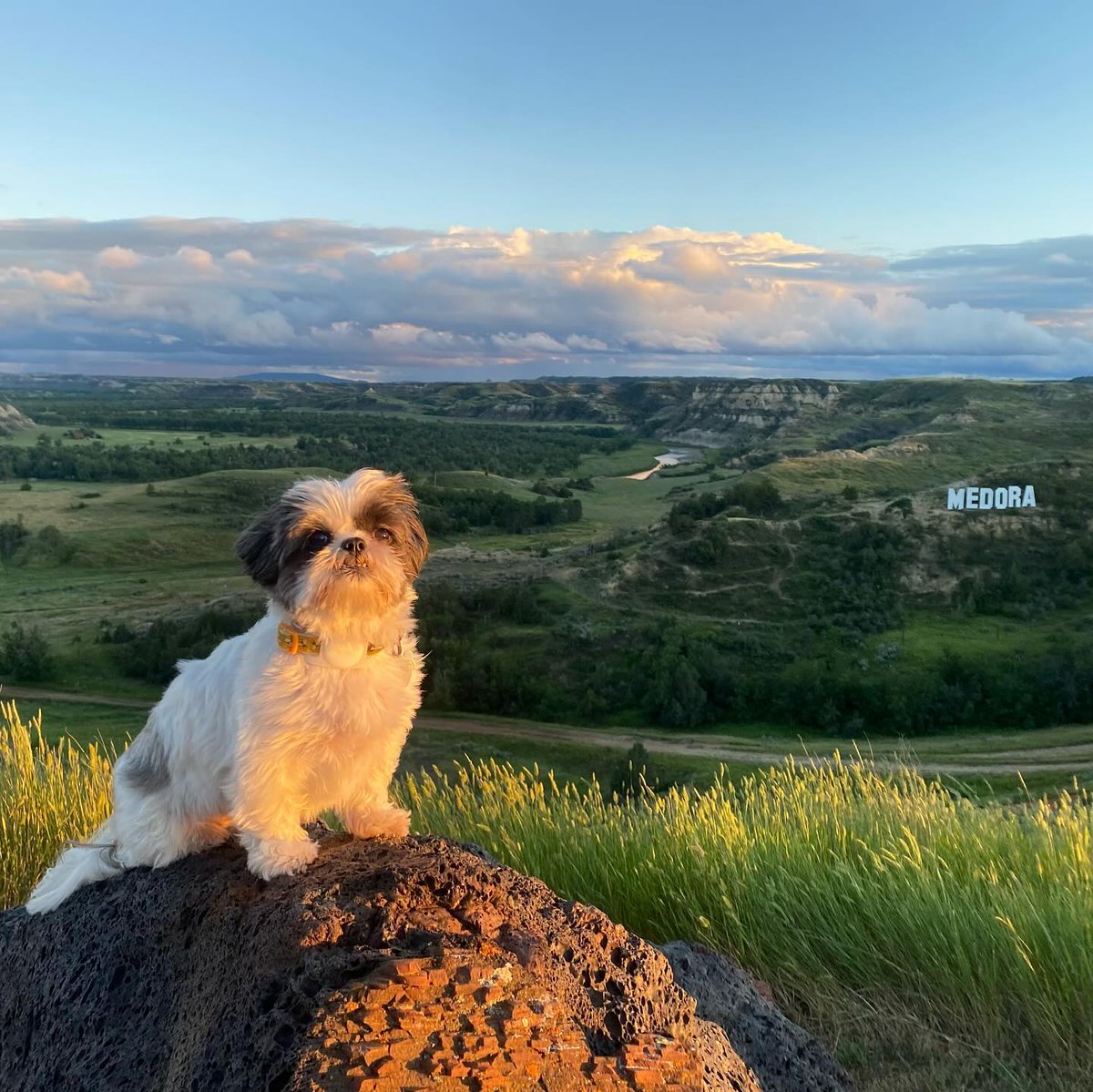 North Dakota Tourism tweet media