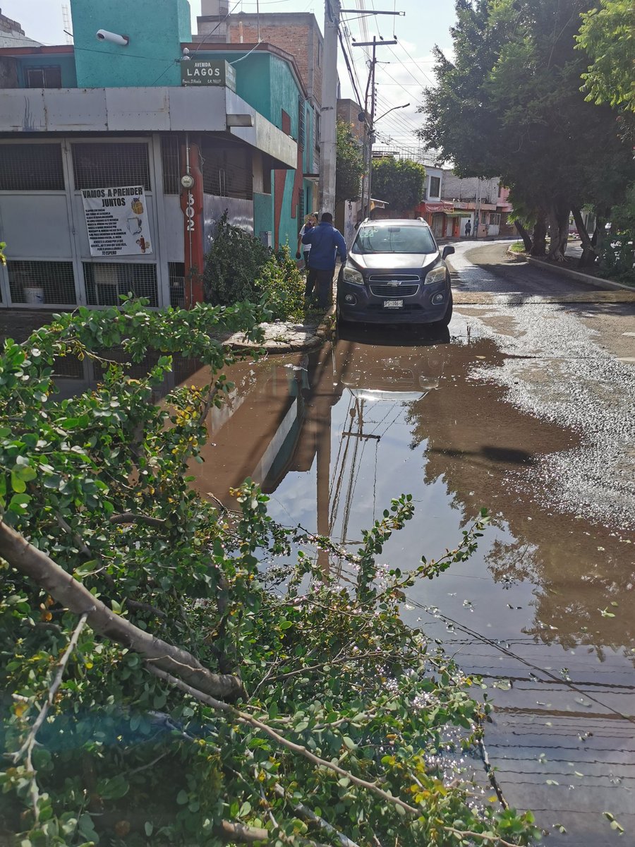 DitherLoGo's tweet photo. Oigan @qromunicipio y @spublicosqro  ¿nos pueden echar la mano a quitar estás ramas?  Estorban el paso al peatón y con la lluvia de anoche nos tenemos que bajar a media calle. Están en la Av. Lagos esquina con Av. Laguna en El Rocío https://t.co/LuoxPbpWtN