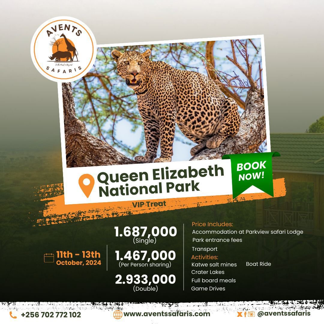 Did you know baby elephants weigh about 90.718 kgs at birth? That's like starting life as a linebacker! 🐘

#wildlife 
#elephants