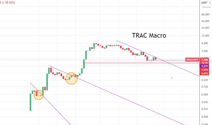 🌹 SMB 🌹 tweet media